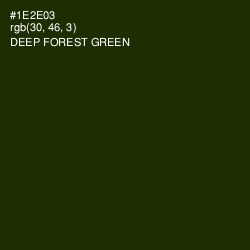 #1E2E03 - Deep Forest Green Color Image